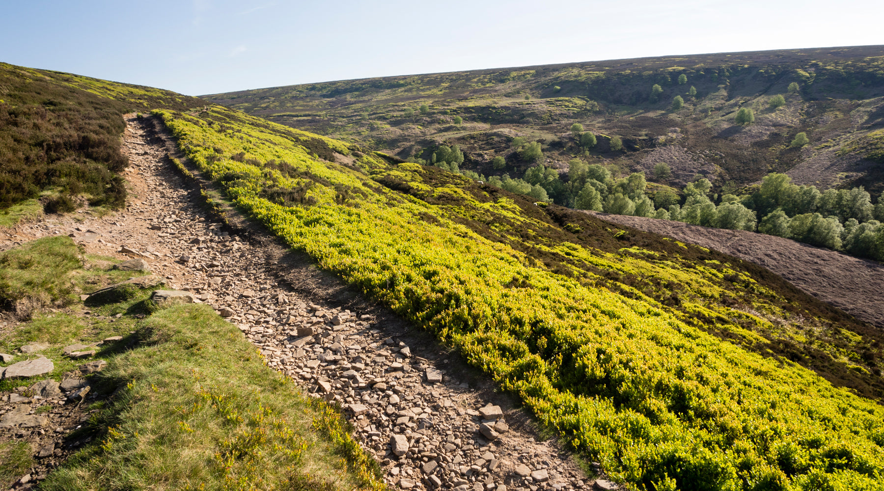 Cut Gate bridleway in the Peak District. Photo: John Coefield