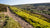 Cut Gate bridleway in the Peak District. Photo: John Coefield