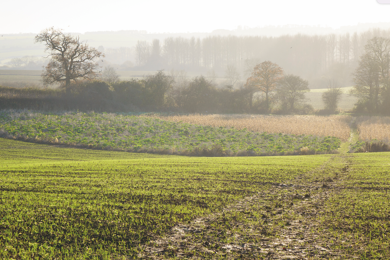 Farmland footpath leading down to the River Windrush. © Adam Long