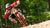 Steve Peat racing the downhill world cup at Bromont, Canada, in 2009. Photo © Sven Martin